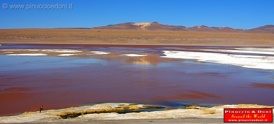 BOLIVIA 2 - Laguna Colorada - 14.jpg